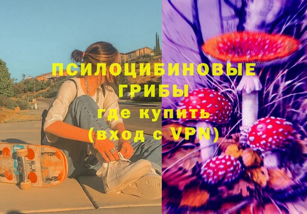 PSILOCYBIN Армянск