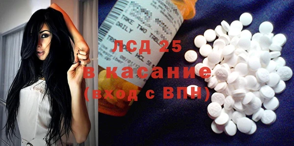 PSILOCYBIN Армянск
