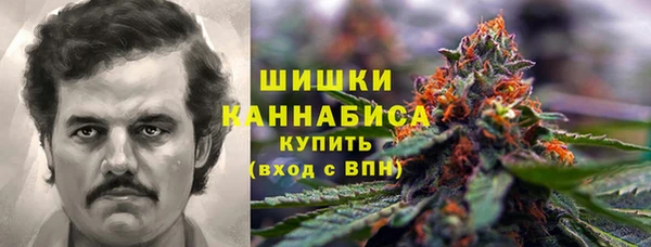 PSILOCYBIN Арсеньев