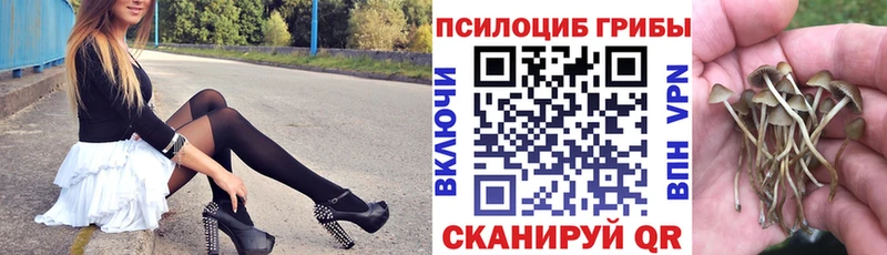 Псилоцибиновые грибы Magic Shrooms  Мыски 